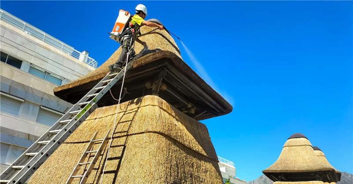 Fire Protection in Saudi Arabia: Why Cape Reed Fireshield Is Essential for Thatch and Timber Structures