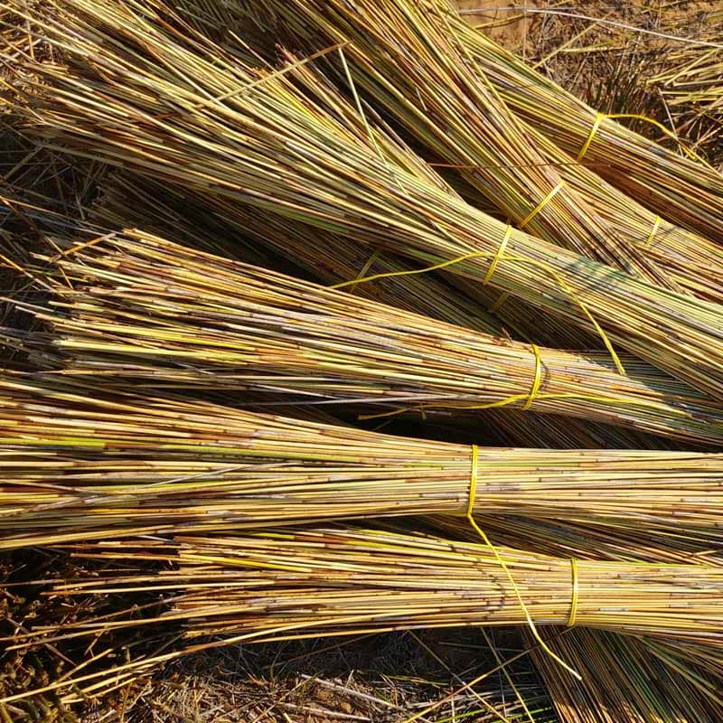 Thatch